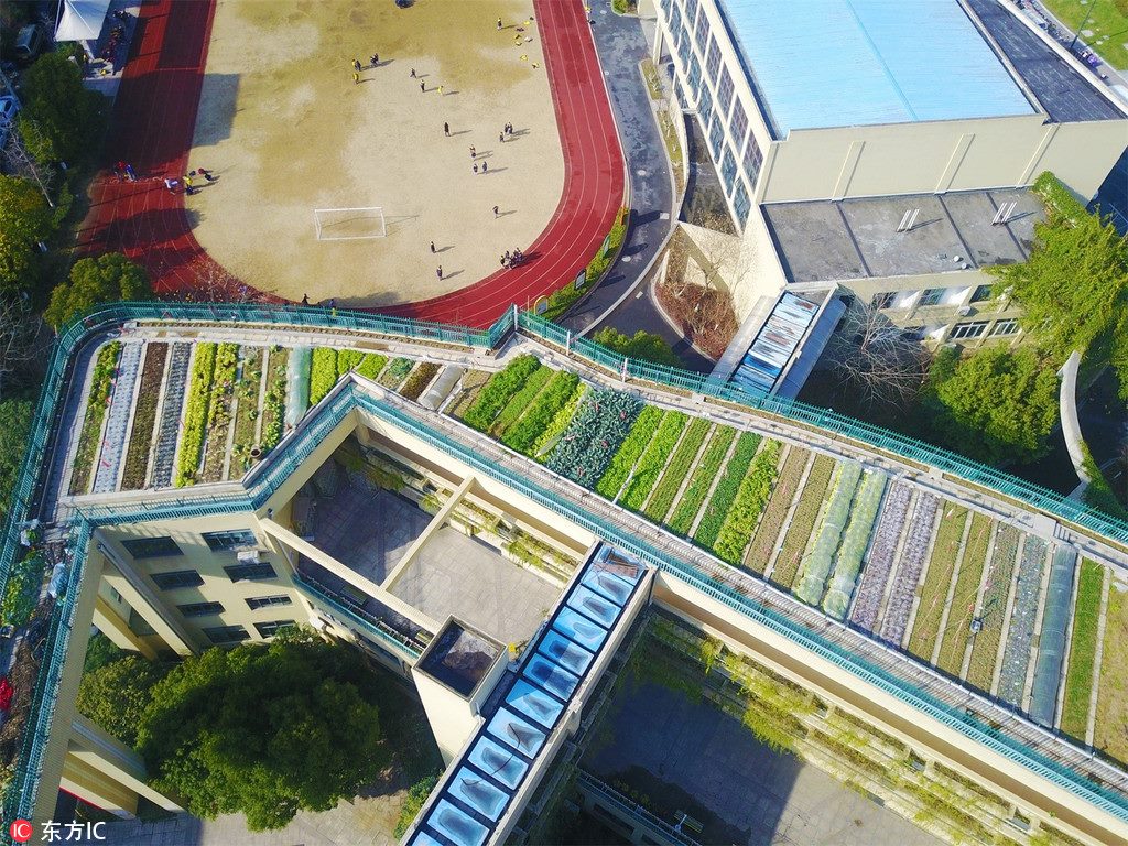 SilkRoadNews's tweet photo. #GreenChina : #Ecology on the Roof ofChina ! Fruits and Crops are Now Being Nurtured in a 1,300-square Meter #EcologicalFarm on the Roof of an Elementary School in #Hangzhou City of east China's #Zhejiang Province. https://t.co/y8kf6vIqT0