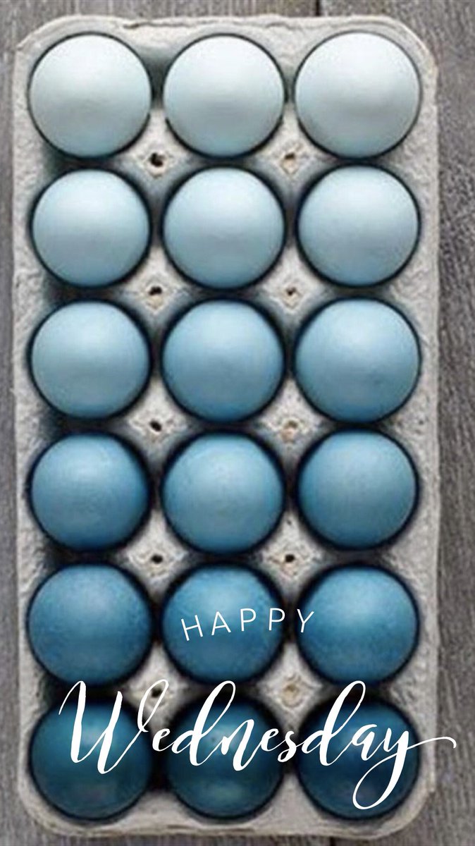 lunchboxyum's tweet photo. Happy Wednesday! 🥚🐓 #sbeats #Wednesday https://t.co/8VBQanaGfM