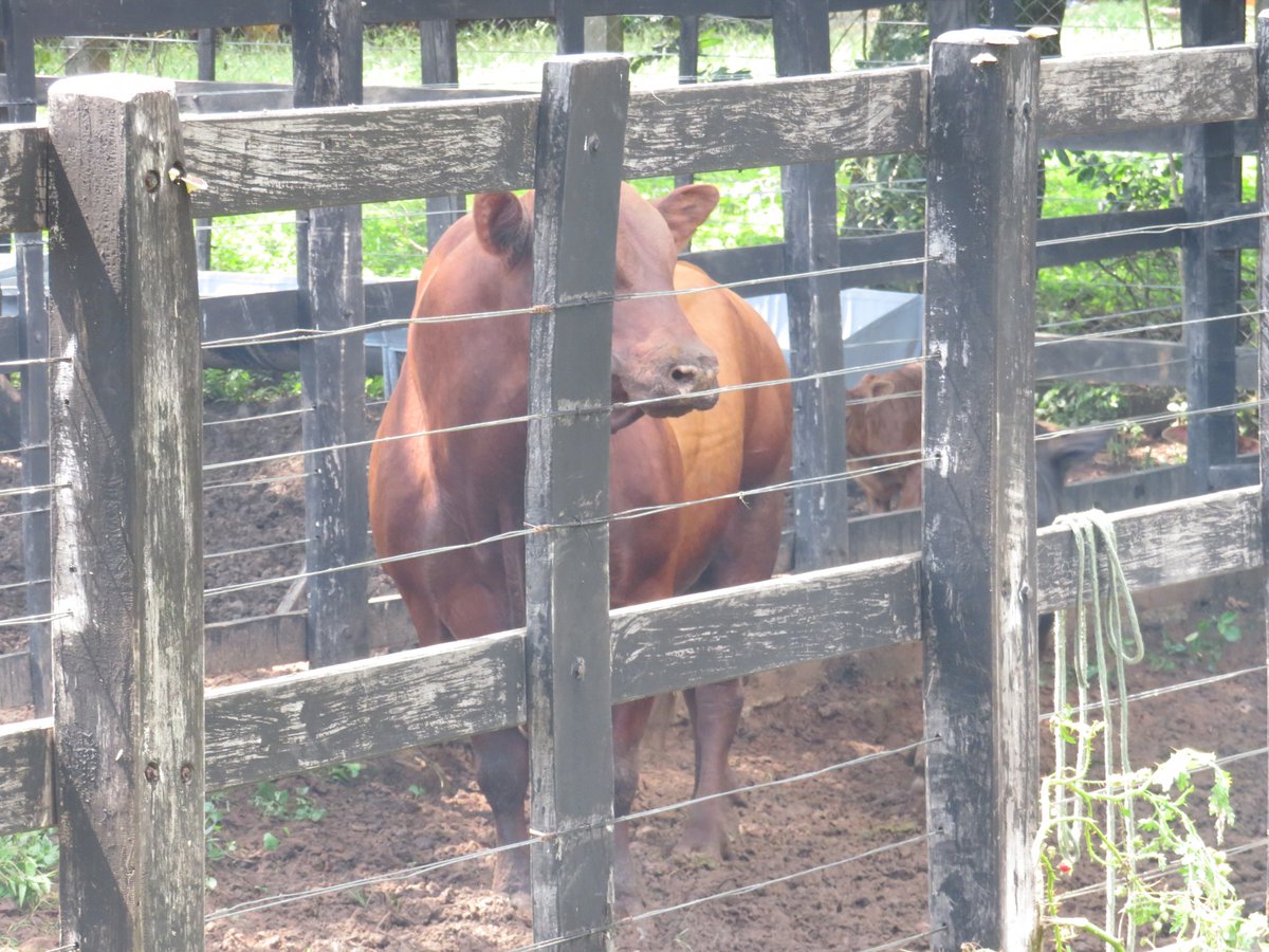 <a href="/diariodefoto/">Diario de una Foto</a> comparto con Uds, más fotografías!!!