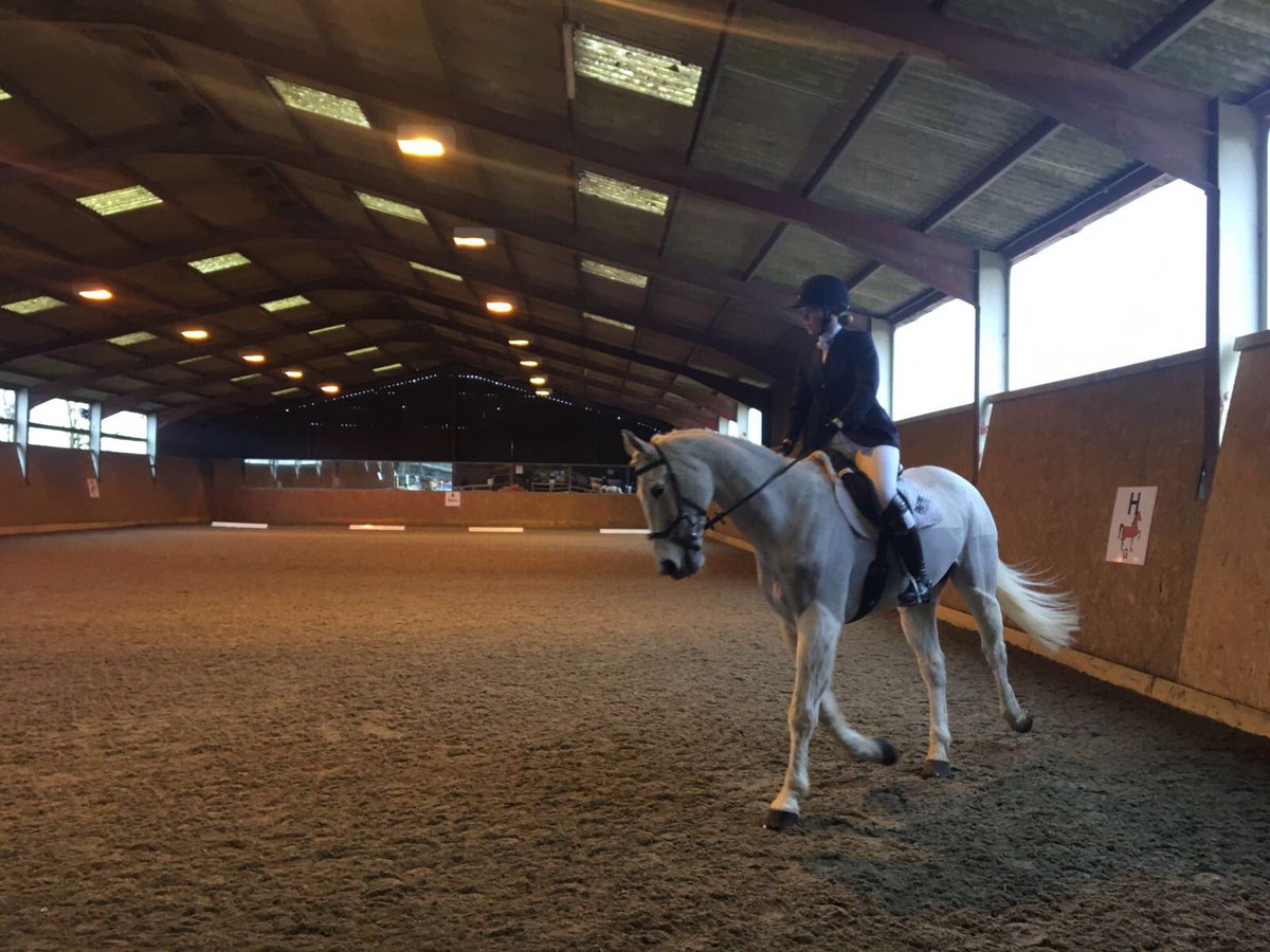 ExeterUniRiding's tweet image. And another set of congratulations are in order! Well done to our BUCS 2 team, who came 1st in their competition at Bristol! Individually, Lauren Green came 3rd, Alice Crocker 5th, Hope PB 6th and Nina Rapp 7th! 🐎#BleedGreen 💚