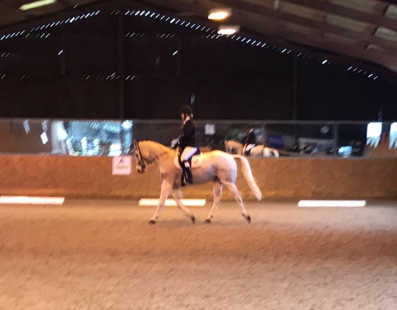 ExeterUniRiding's tweet image. And another set of congratulations are in order! Well done to our BUCS 2 team, who came 1st in their competition at Bristol! Individually, Lauren Green came 3rd, Alice Crocker 5th, Hope PB 6th and Nina Rapp 7th! 🐎#BleedGreen 💚