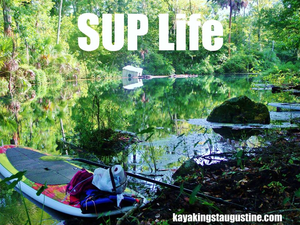 Join us beginning in March!
#Orlando #StAugustine
KayakSilverSprings.com