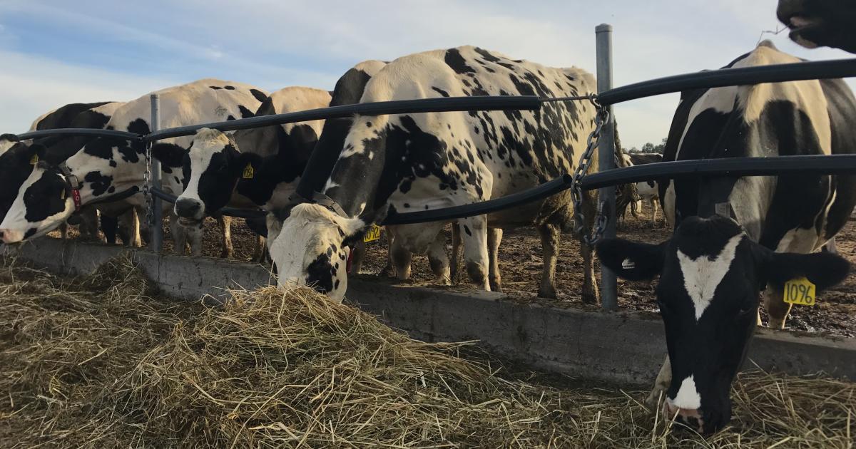 AFRISA SECRETARIAT tweet media