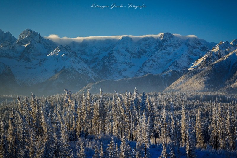 GORSKI_SWIAT's tweet photo. Mroźny poranek z widokiem na #Tatry. 
Zobacz piękne zdjęcia z #PolanyGłodówka
więcej https://t.co/5cfWcWglxf
fot. Katarzyna Gerula https://t.co/3lOXoWBez2