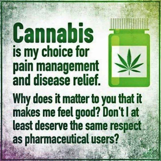 Strainofhope's tweet photo. You don't bother people who use drugs from the pharmacy. Why bother me about using a plant from the ground? (Photo: Pinterest) https://t.co/QCpiMLzu1U