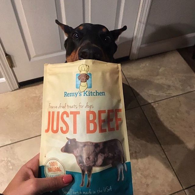 RemysK9Kitchen's tweet photo. I’ll take the Beef! 😋😋@drakethedobermanpinscher .
.
.
.
.
.
.
#remysk9kitchen #justbeef #freezedrieddogtreats #freezedriedbeef #beef #dogtreats #doberman #dobermanpinscher #dobermanpinschers #healthydogtreats #dogtreat #rawfeddog #rawfeeding https://t.co/t88739DYRu https://t.co/51uaxlEXmV
