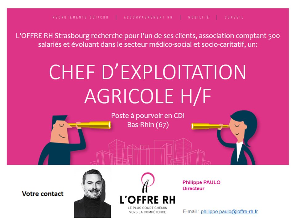 Offre_Rh's tweet photo. Plus d'information au sujet du poste que vous propose Philippe en CDI, ici: https://t.co/Mgb3d8GlvQ :)

N'hésitez pas à partager !

#BasRhin #67 #Bio #ExploitationAgricole https://t.co/nRN9UpiNgK