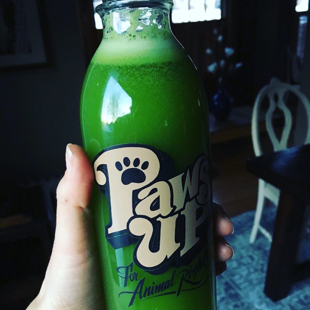 FaucetFace's tweet photo. Vegan celery juice in a fashionable #PawsUp glass bottle for a healthy start to the day.

Wellness combined with Animal Rights.  The perfect combination❗️

What do you use your #faucetface bottles for❓🤔

#vegan #plantbased #animalrights https://t.co/mPRzlFnr8v