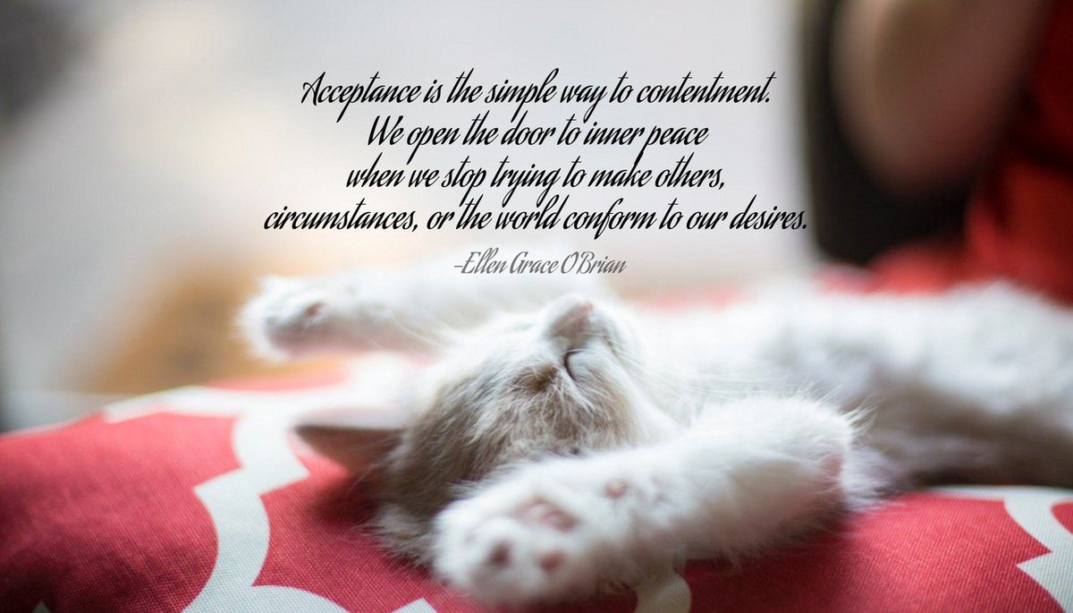 CSEcenter's tweet image. Acceptance is the simple way to contentment. We open the door to inner peace when we stop trying to make others, circumstances, or the world conform to our desires.
-Ellen Grace O’Brian