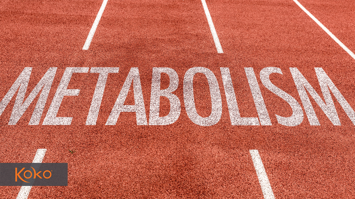 Koko FitClub tweet media