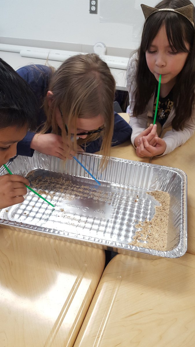 carolyndannis's tweet photo. @SunsetValleyES #sandraces #weathering #winderosion https://t.co/RWzyPdnNaP