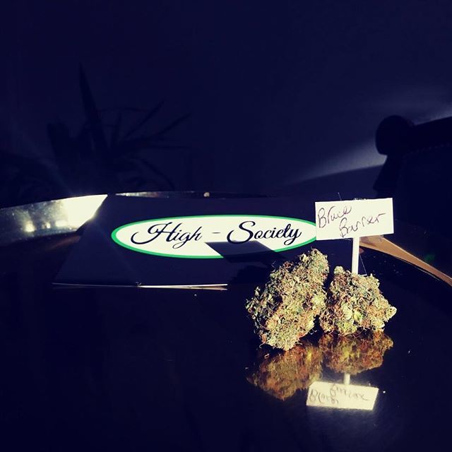 High Society Toronto On Twitter That Bruce Banner Though Bred