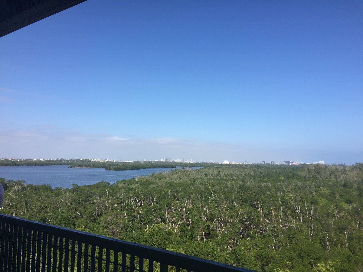 Enjoying the view from the tower.