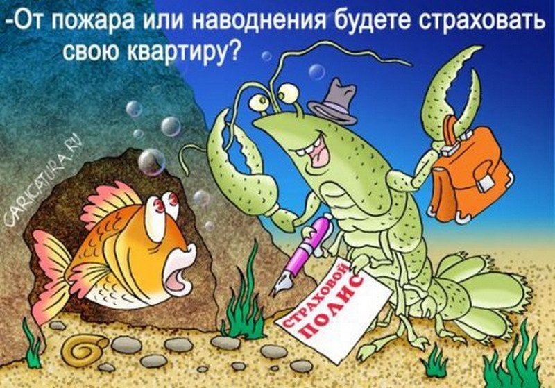 Прикольные картинки про страхование