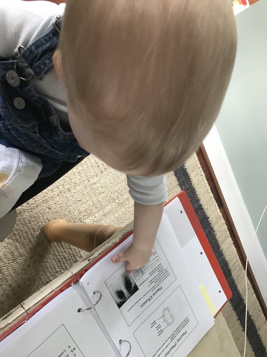 KLWare's tweet image. This is what studying looks like with kids...currently learning about pleural effusion. #whoneedschildrensbooks? #studybuddy