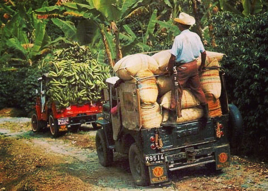 ColombianAndes's tweet photo. A retro image of crops being transported to market. Willy’s keeps are still used today for transportation in the Colombian Andes.
-
#Colombia #plantanos #Coffee #farming #agriculture #SustainableDevelopment #sustainability #organic #ecotourism #travel https://t.co/irhZIPV0dc