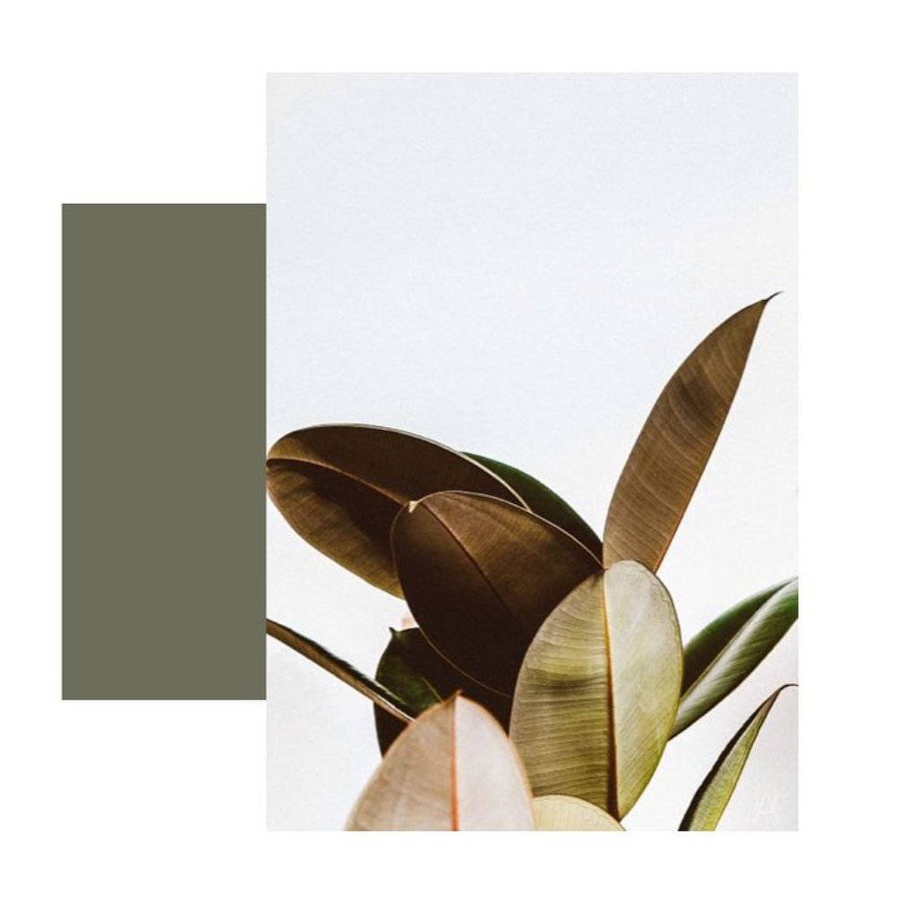 horizon_paris's tweet photo. Deep Lichen Green #inspiration #pantone #collection #horizonparis #madeinfrance #lafabique 🍀 https://t.co/NFf8ViJPkj