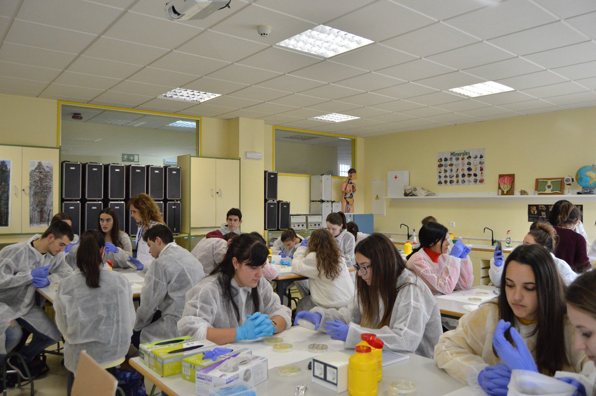 joseramosvivas's tweet photo. IES LA MARINA, #Bezana @SWISpain at @idivaldecilla #awesome hands-on work today.
#superbacterias #superbugs #antibiotics #AMR #antibióticos #microbiología #microbiology #infectiousdiseases #microbiome #bacteria #outbreak #nosocomial #staphilococcus #ResistenciaAntibióticos https://t.co/azuU7CXJnS