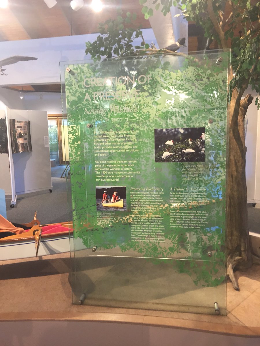 Exhibit excitement! #Science #teacher #mangrove
