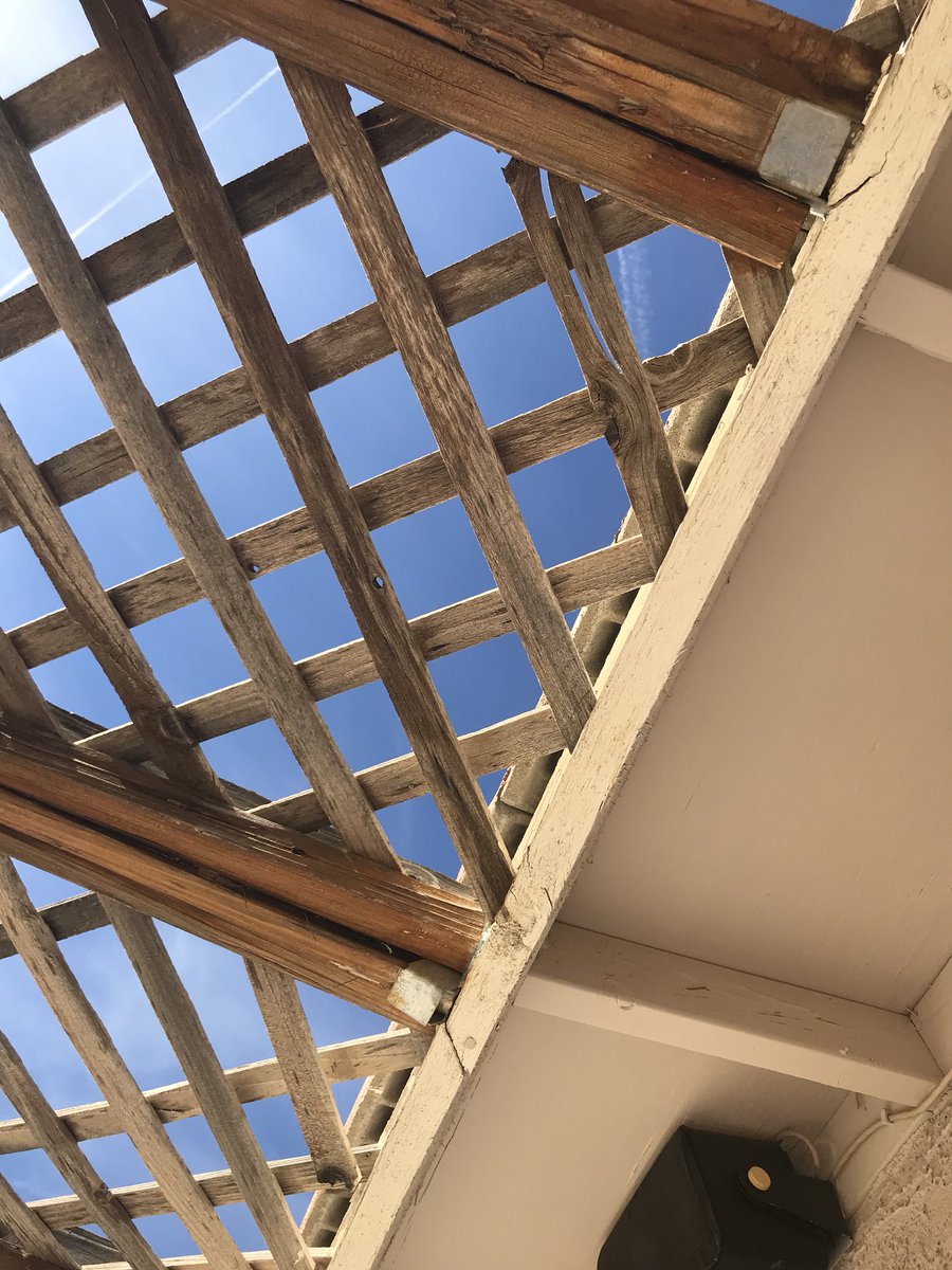 BellaPatioLV's tweet photo. Replaced a couple of old wooden covers with new aluminum covers. Call today to set up an appointment for your backyard facelift. 702-463-7499
#patiocover #patiolife #lattice #mitered #wood #alumawood #aluminumpatiocovers #duralum #homeimprovement #architecturephotography https://t.co/vwYWKyHvdA