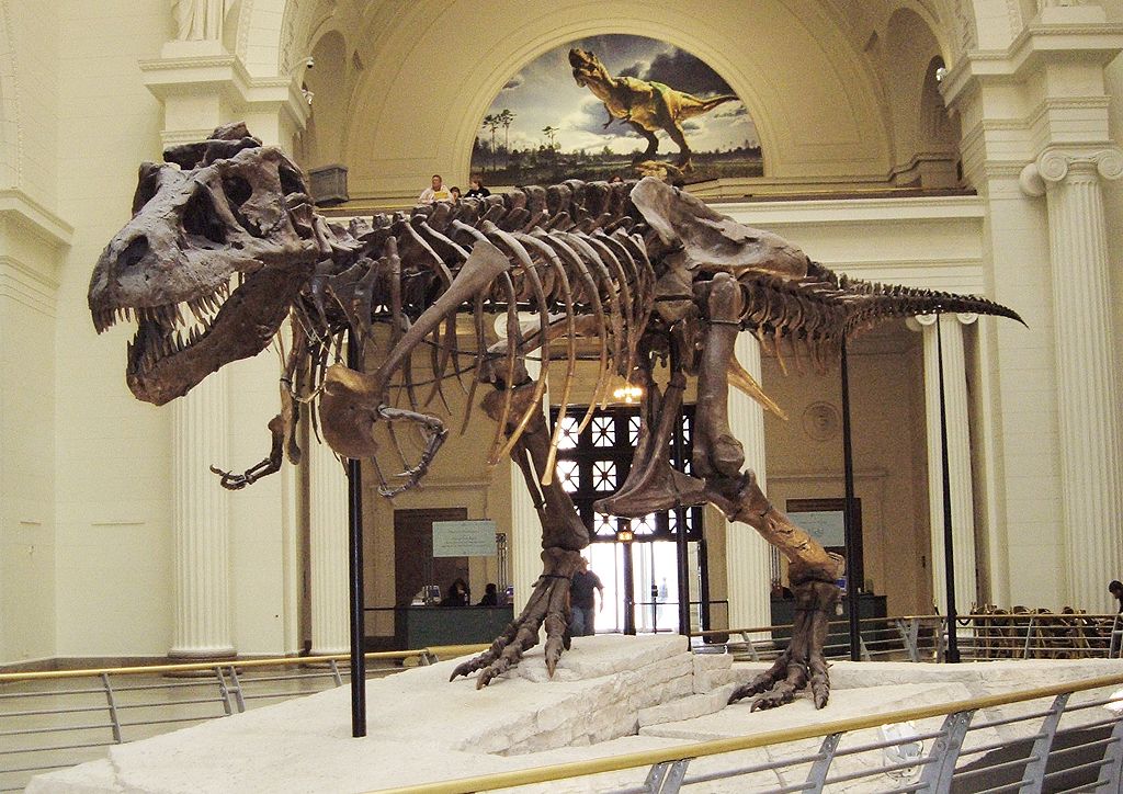 Museum Week tweet media