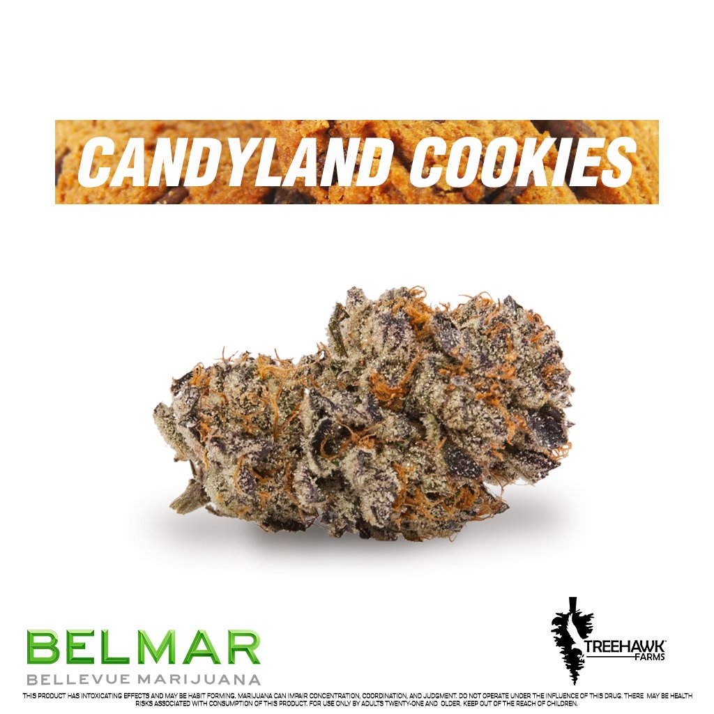 BelMar425's tweet image. Check out Candyland Cookies by @TreeHawkFarms if your looking for a fun Sativa dominant Hybrid to brighten up this rainy day. It has a sweet smell like fresh baked cookies, and blissfully creative high
#CandylandCookies #TreeHawkFarms #TreeHawk #BelMar #Bellevue #Cannabis #Sativa