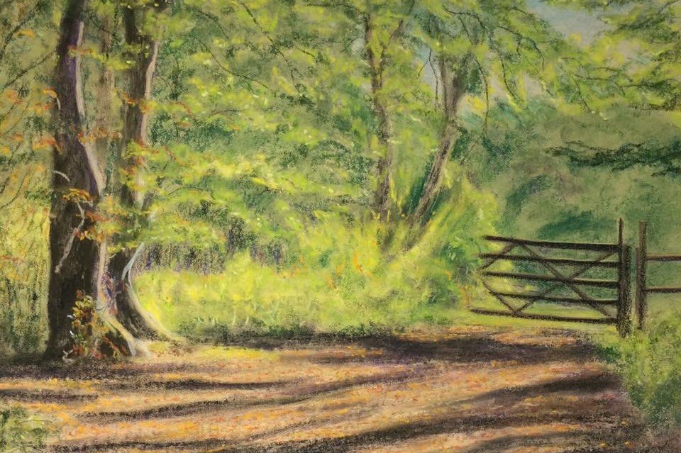 Cate Aspinall's charming pastel landscapes of rural scenes, woodland glades, hidden byways and secret paths are the next exhibition in the gallery.
The preview event is Sunday 4th February, 6:30pm - 8:30pm and the exhibition will continue until 2nd March.