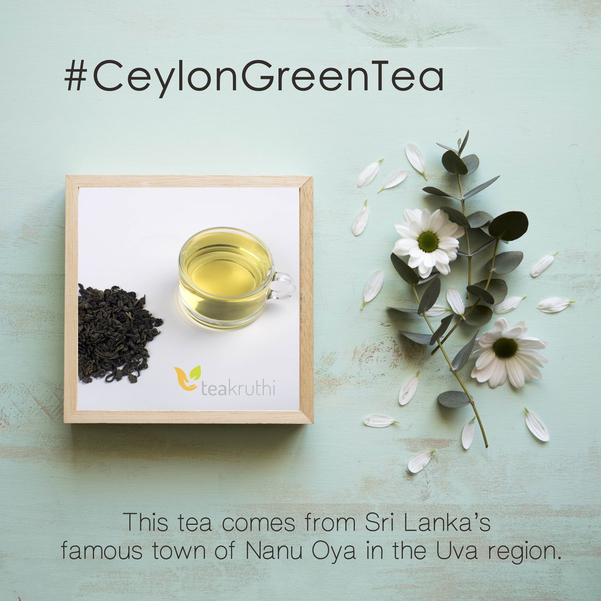 teakruthi's tweet photo. Regular consumption of #GreenTea can support weight loss through an increased metabolism and enable a healthy lifestyle. #Teakruthi #TeaAddicts #TeacupClub #SingleOrgin #PlantationFresh https://t.co/lBAGUXhTKl