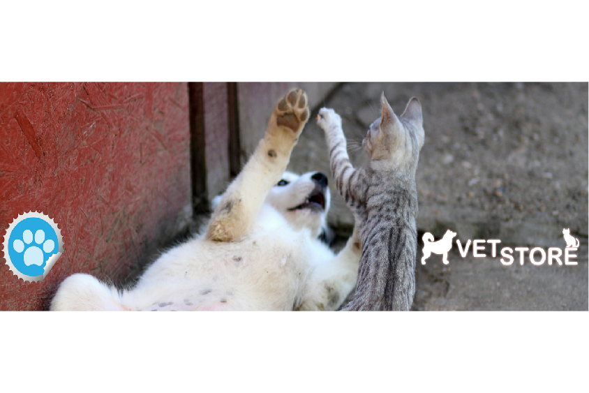 Vet_Store tweet picture