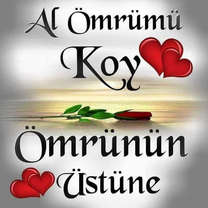 AlevGul7's tweet photo. https://t.co/g8GWVrm35M