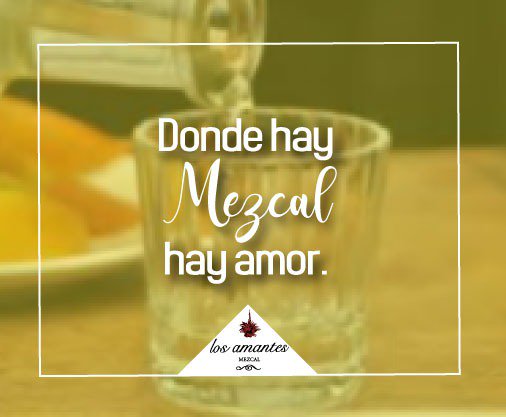 LosAmantesMzc's tweet photo. Donde hay mezcal hay amor...

#BecomeALover #LifeDelicious https://t.co/3ypZzHepbC