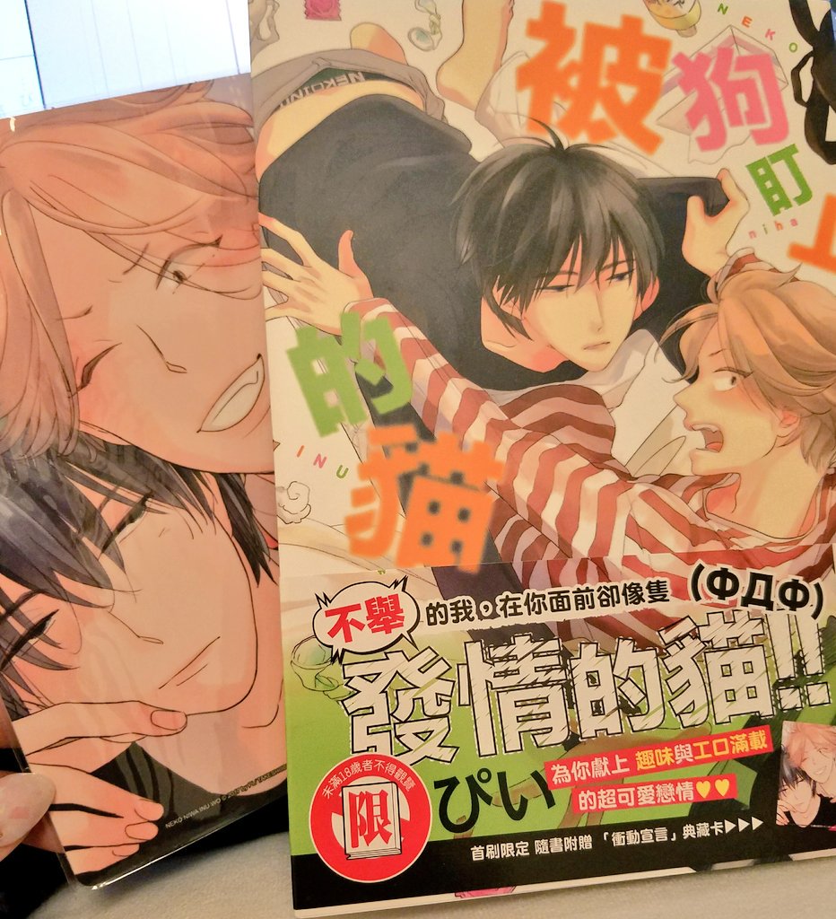 私も「ネコにはいぬを」の台湾版の見本誌いただきました😊紙質も分厚めで印刷濃度も違うのですね!ポストカードもつけてくださっていました。関西弁をどう翻訳してくださっているのか気になる所です♪台湾の皆様よろしくお願いいたします♡