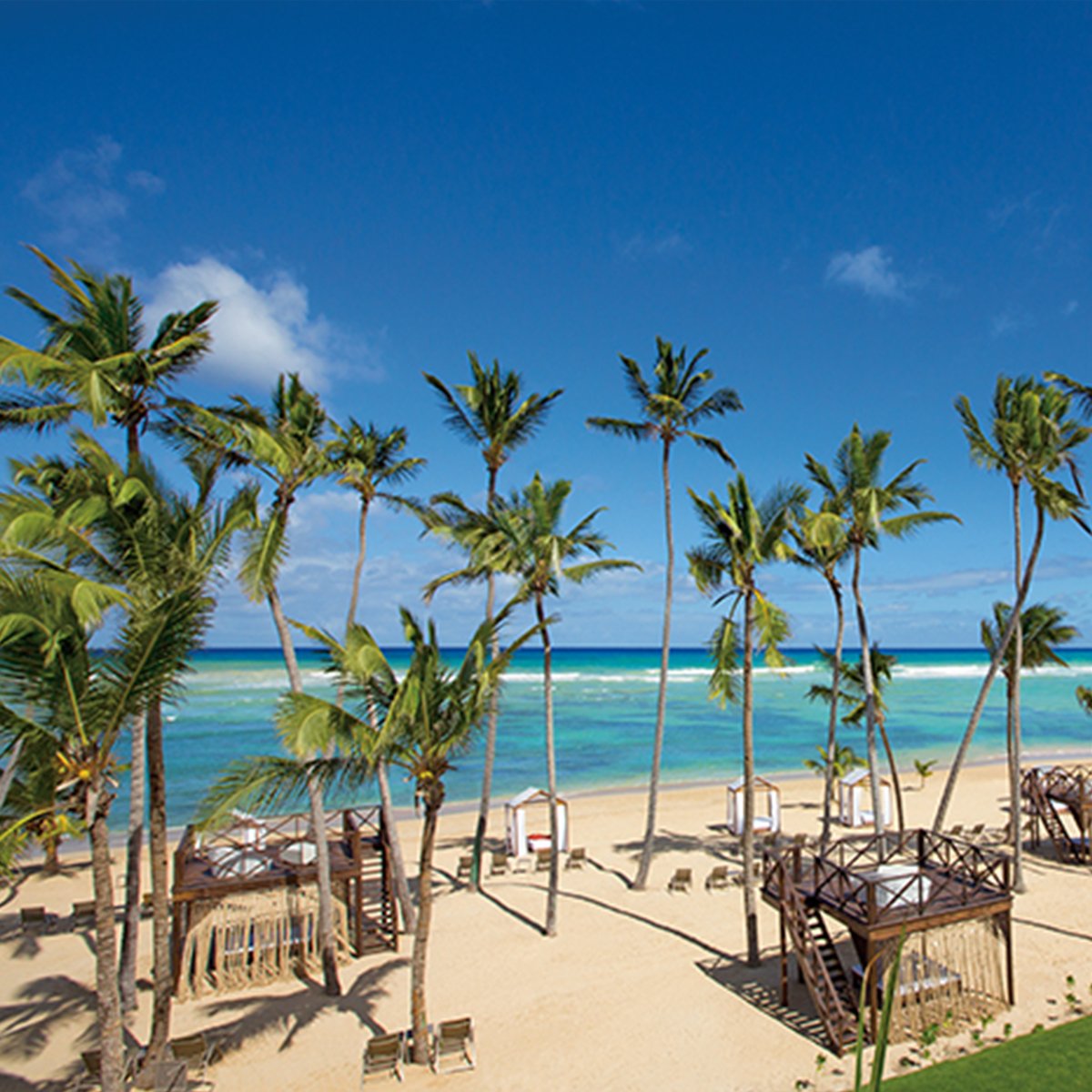 airtransat's tweet photo. Travelling solo? Escape to the Breathless Punta Cana Resort &amp; Spa in the Dominican Republic! The hotel, which is part of our #SoloCollection, offers communal tables to share meals, weekly happy hours, complimentary room service &amp; free Wi-Fi! https://t.co/MdUjGcCOPL https://t.co/vDPFKeOLd9