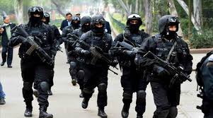 MozosTab's tweet photo. @fiskaspar @CNITabarnia @TierraTabarnia @AireTabarnia Ponemos a disposición del Mando de Operaciones Especiales a nuestro grupo especial de intervención https://t.co/l4mzXdm4gD