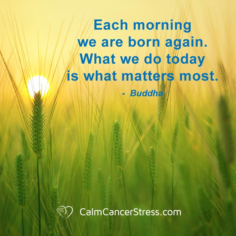 LovingMeditator's tweet photo. #cancer #pain #caregivers #health #lovingmeditations #stress #wellness #nowtrending #trendingnow #toptrending #newongoogle #tamaragreen https://t.co/KYgVbWSHMs