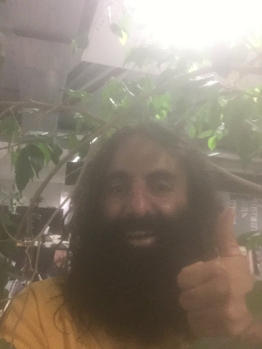 CostasGarden's tweet photo. Looking forward to having my regular Thursday is the new Friday chat on @abcgoldcoast and the #returnOFbern. Banter begins about 635am or 735aest. Welcome back Bern https://t.co/AewiAzX9FX