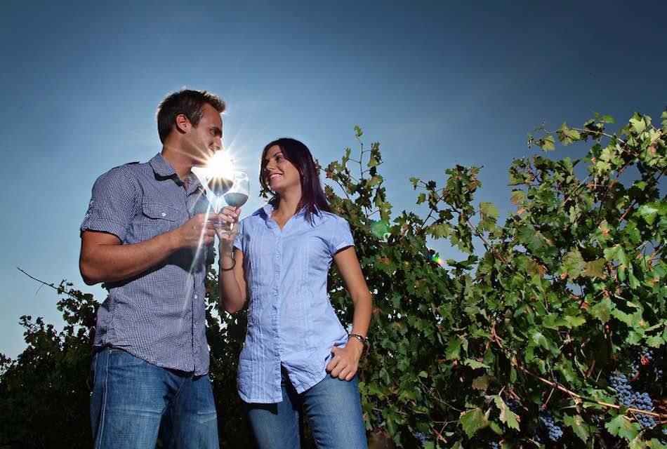 🍷🌎 El año 2017 concluyó con un balance positivo para el #Enoturismo, según afirma la web "Turismo de Vino" y el interés de los turistas en visitar #bodegas continúa creciendo, si bien se percibe una demanda hacia una mayor diferenciación en la oferta.

saboreandocanarias.com/2018/01/22/201…