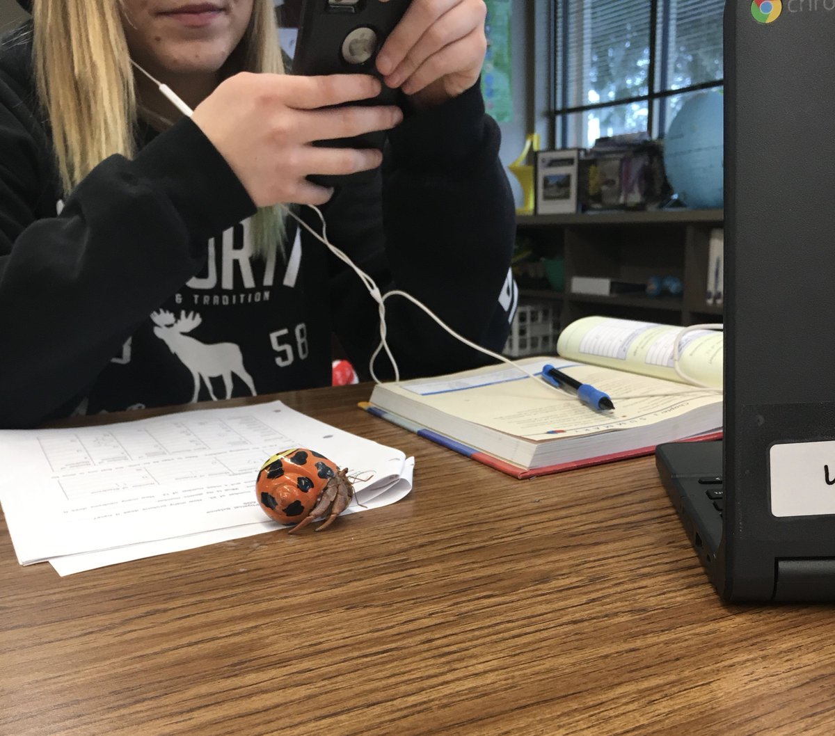 EmJohnson613's tweet photo. There's nothing like doing your work with a hermit crab on your paper! #classpetsrule #wearechargers #wearegfchs @chschargers1 @GFSchools https://t.co/6SLo5BYMld