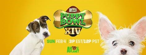 TrolleySquareUT's tweet image. Come to the Pup Rally at Google Fiber and tune-in to Puppy Bowl XIV
Grab your pup and join Google Fiber Salt Lake on February 3rd to celebrate the cutest, fuzziest, fluffiest event of the year...Animal Planet’s Puppy Bowl. #mytrolleysquare