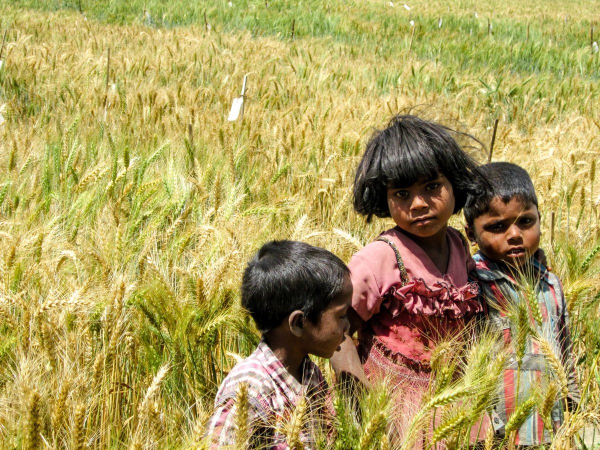 We’re bringing biofortified crops to even more families in the next five years. Learn where: ow.ly/RKQS30hYuwQ