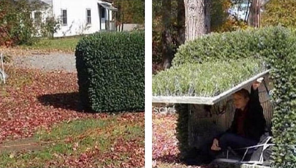 When you wanna smoke outside but you can't let the neighbors see you