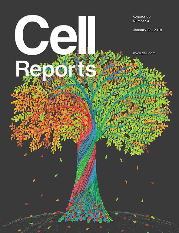 Anna Beyeler 🇺🇦 tweet media