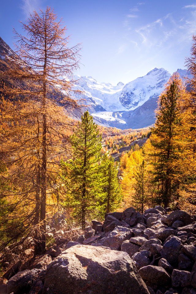 allnaturee's tweet photo. simplicity https://t.co/qGXj6tMLbZ