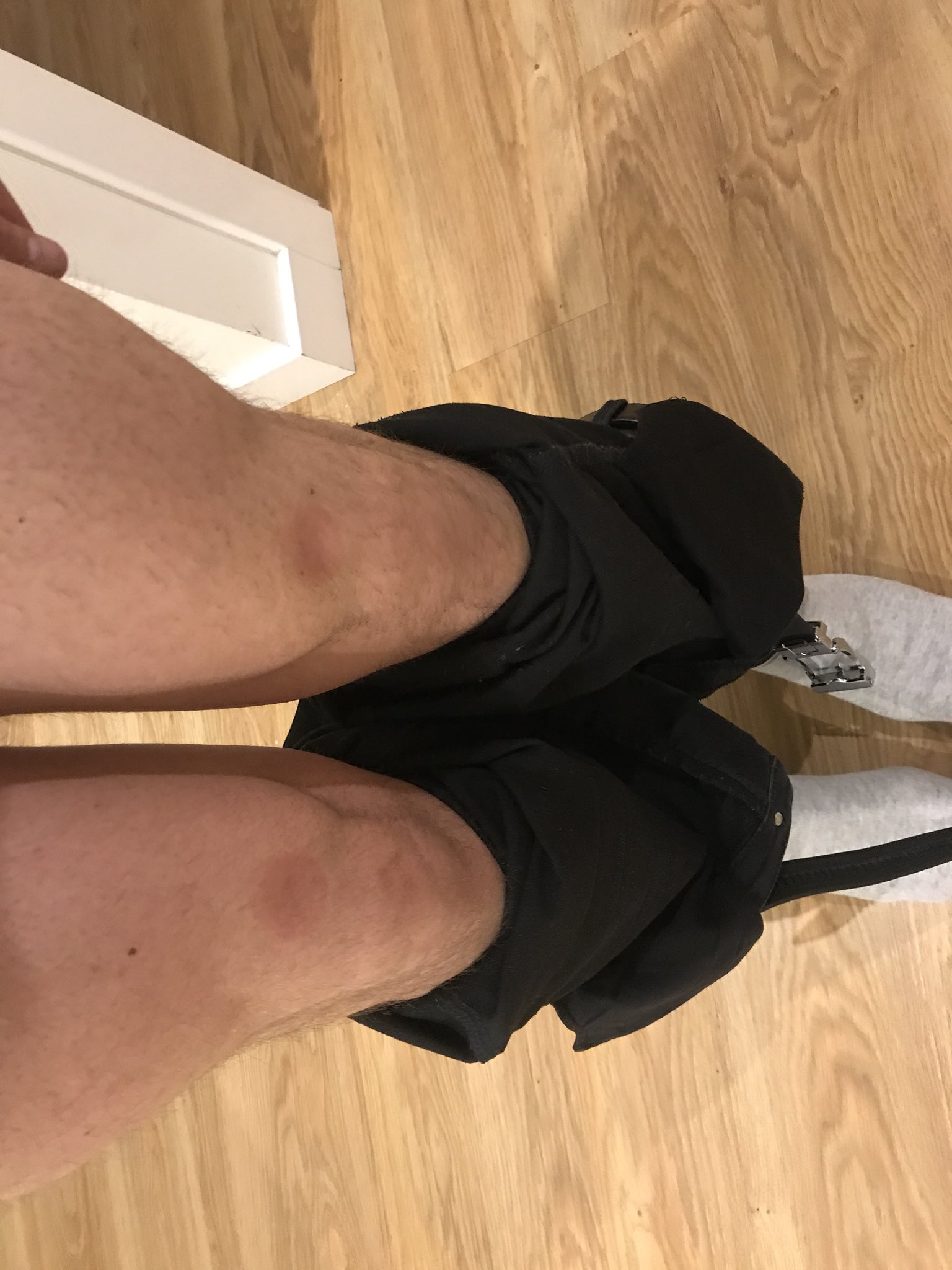 Alex Stone on X: Todo cincos be like t.co5wumOlfVep  X