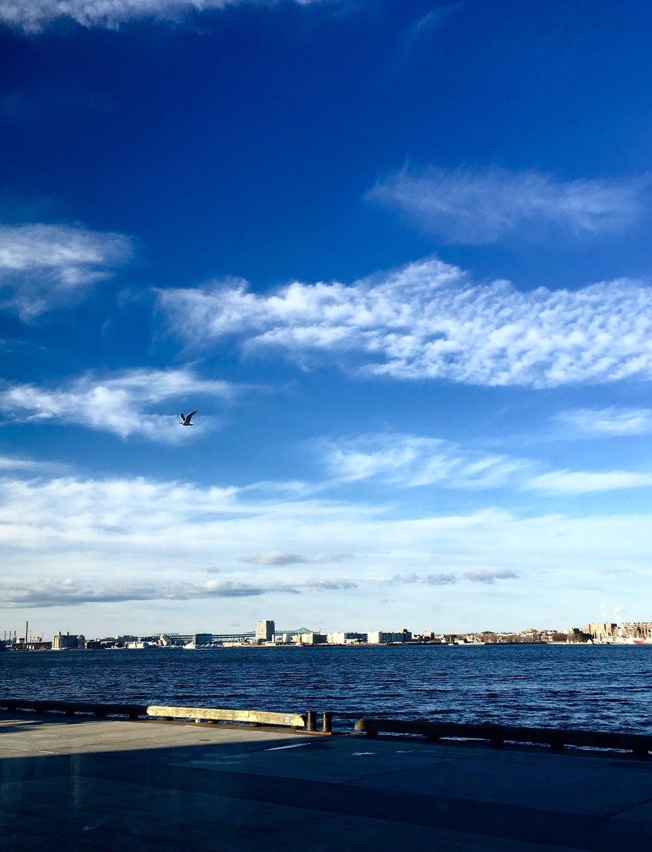 BostonHarborNow's tweet photo. Thanks to our #MAWorkingPort panelists and moderator @BruceMohl for an engaging discussion on how best to plan and invest in Boston's port areas for the future. https://t.co/HTTZEZjPaS
