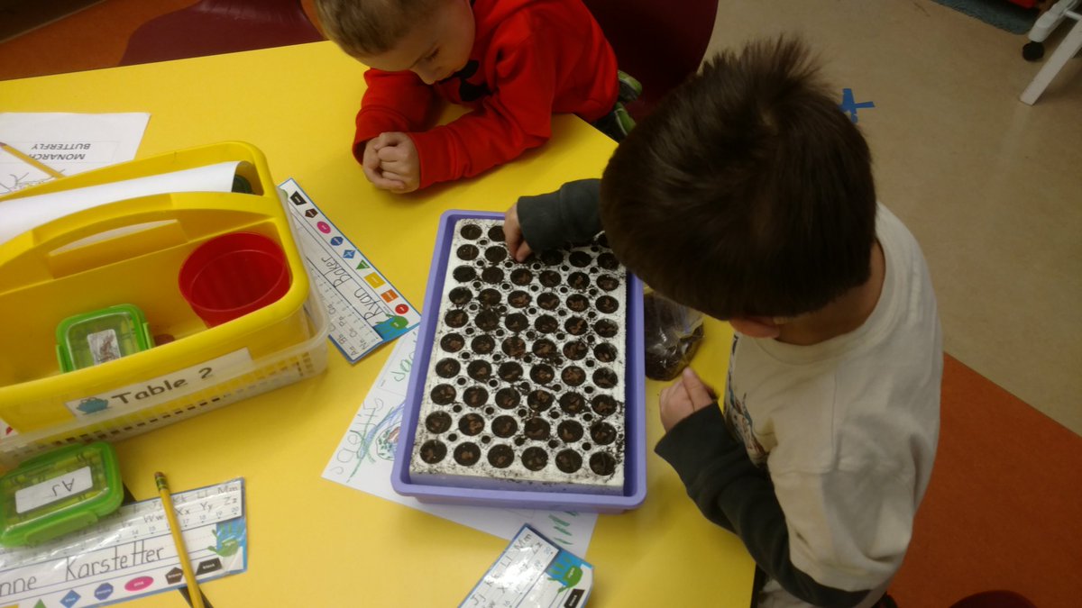 Had fun at Mcguffey Elementary today teaching the kindergarten classes about monarch butterflies and milkweed plants. Students did a great job planting seeds for them to care for in their classrooms!