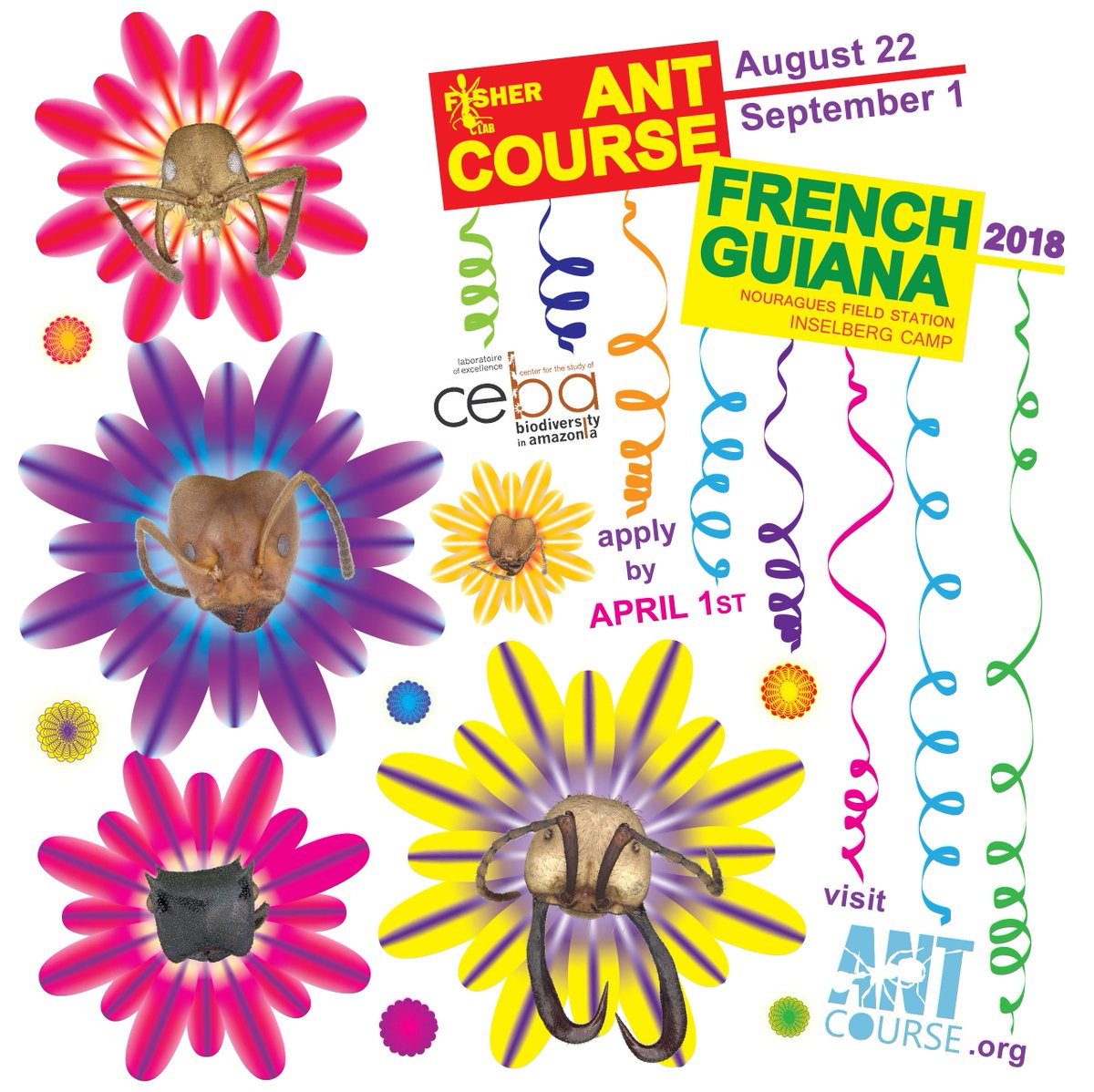Apply Now: #AntCourse 2018 in French Guiana: no tuition!. Apply by April 1 antcourse.org