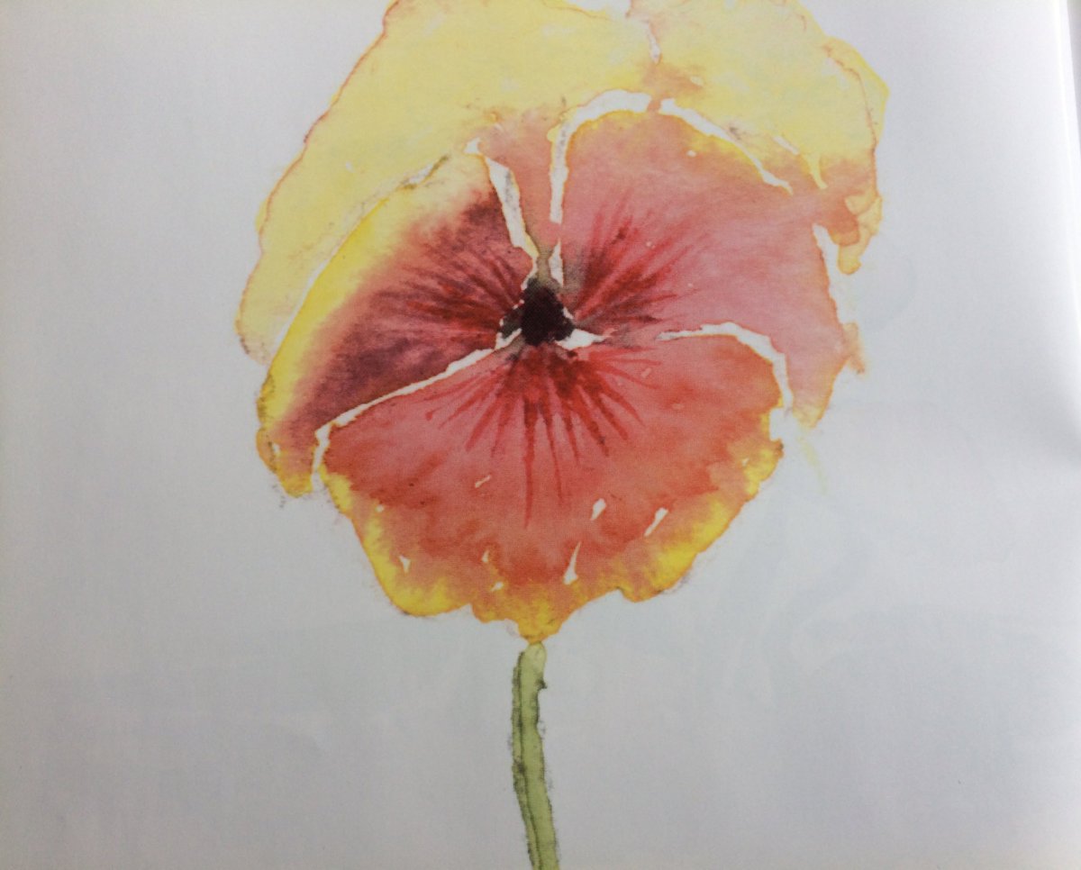 linekekeizer's tweet photo. Dit jaar ga ik eindelijk de cursus doen die ik al jaren wilde volgen, maar waar ik geen tijd voor had (in mijn hoofd π). #botanischtekenen #inkt #aquarel #plantentuin #gent #VDDDG https://t.co/eo5PVGrE4X