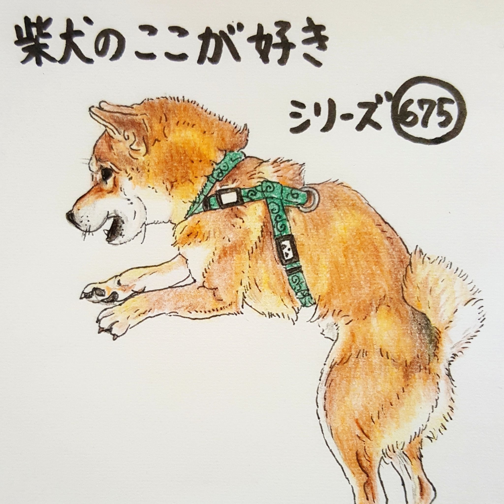 ここ柴 Auf Twitter 2本足で立つと ゴジラのような姿勢になるとこ ちっともこわくないシバラ 恐くないよ と言いながら近づいているようにも見える 柴犬のここが好き ここ柴 柴 犬 イラスト 二足歩行 シバラ T Co 4bf8xzge41 Twitter