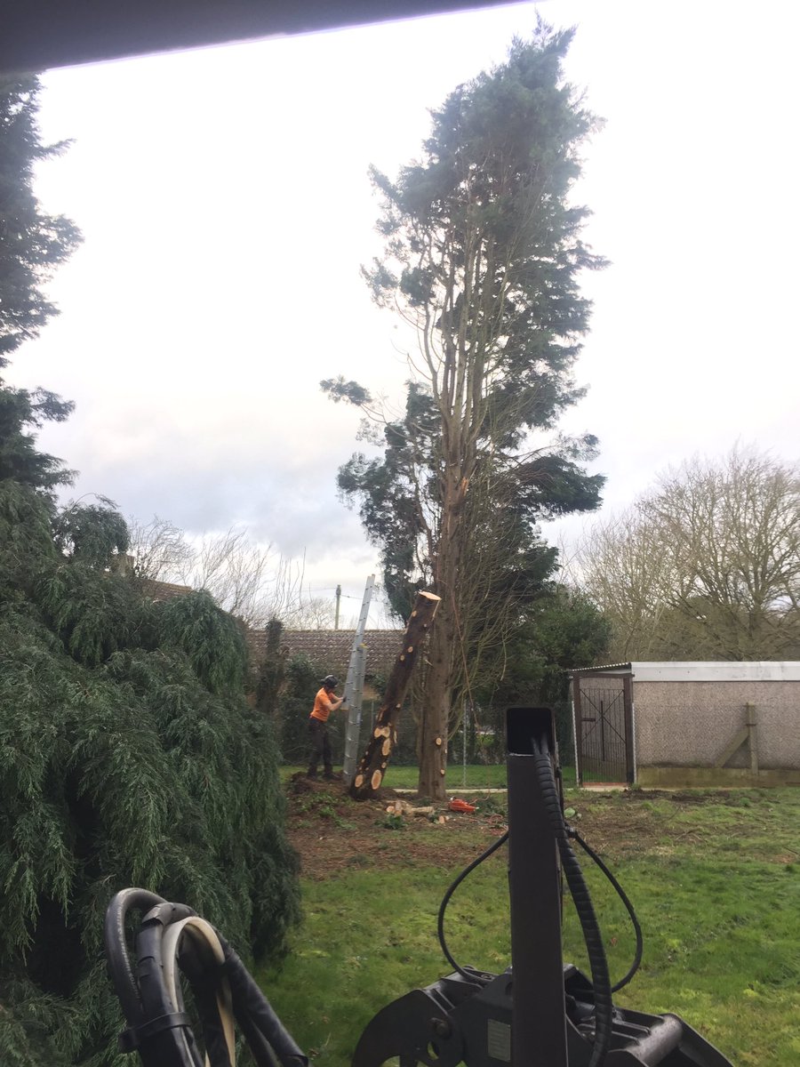 Haine Tree Services tweet media